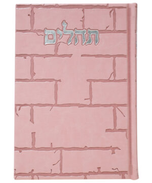 תהלים דמוי עור בינת הלב כותל ורוד 12*17