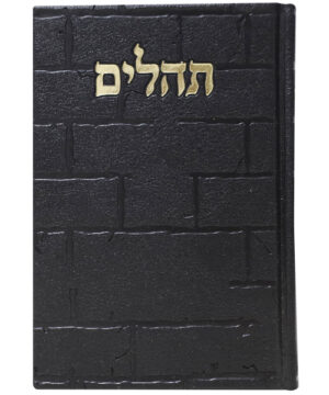 תהלים דמוי עור בינת הלב כותל שחור 12*17