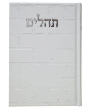 תהלים דמוי עור בינת הלב כותל לבן 12*17