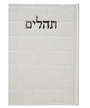 תהלים סקאי בינת הלב כותל לבן 12*17