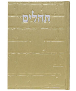 תהלים סקאי בינת הלב כותל זהב 12*17