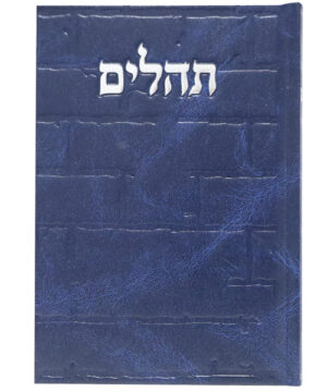 תהלים סקאי בינת הלב כותל כחול 12*17