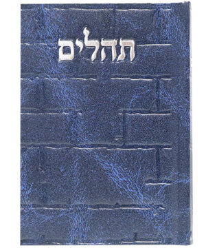 תהלים סקאי בינת הלב כותל כחול 12*8