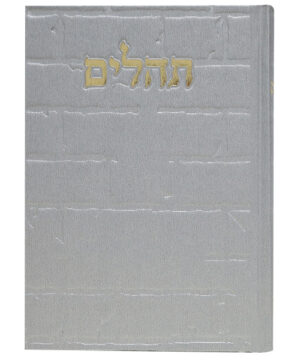 תהלים סקאי בינת הלב כותל כסף 12*8