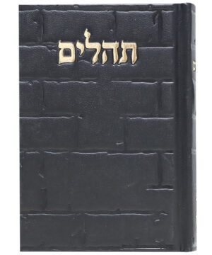 תהלים סקאי בינת הלב כותל שחור 12*8