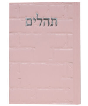 תהלים סקאי בינת הלב כותל ורוד 12*8